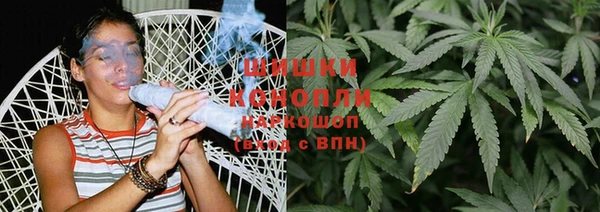 мяу мяу мука Билибино